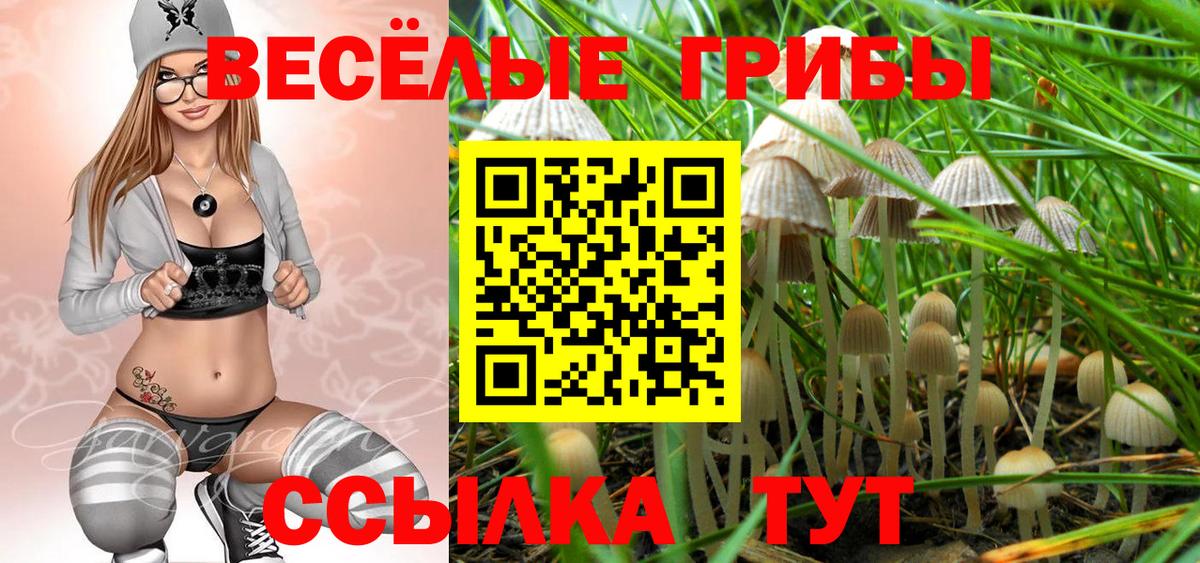 Псилоцибиновые грибы MAGIC MUSHROOMS Гатчина