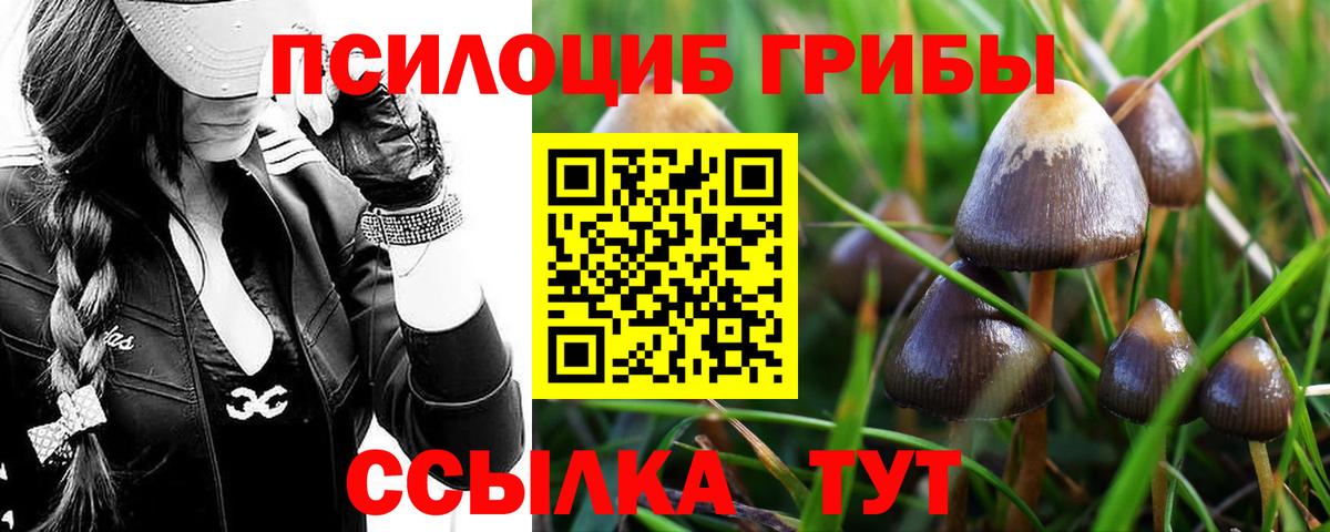 Псилоцибиновые грибы MAGIC MUSHROOMS  Вход с VPN  Гатчина 